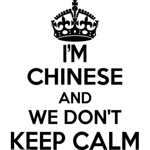 Chinese Wall Sticker... 20 inches Tall We Don't Keep Calm Vinyl Wall Art Decor