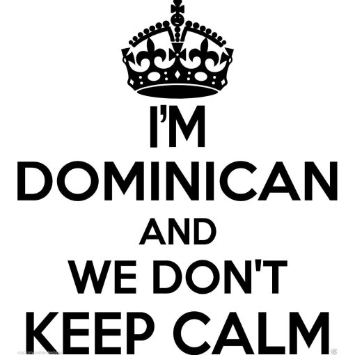 Dominican Wall Sticker... 20 inches Tall We Don't Keep Calm Vinyl Wall Art