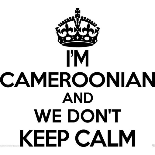 Cameroonian Wall Sticker..20 inches Tall We Don't Keep Calm Vinyl Wall Art Decor