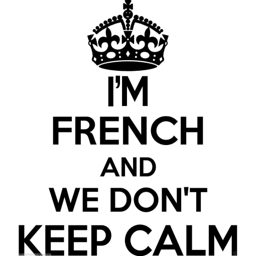 French Wall Sticker... 20 inches Tall We Don't Keep Calm Vinyl Wall Art