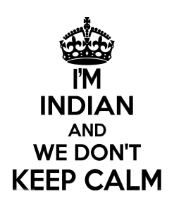 Indian Wall Sticker... 20 inches Tall We Don't Keep Calm Vinyl Wall Art
