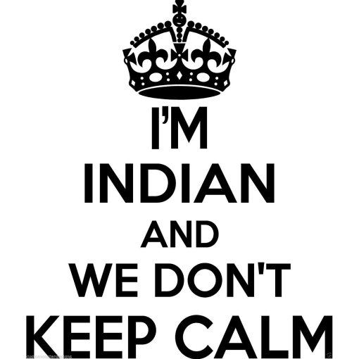 Indian Wall Sticker... 20 inches Tall We Don't Keep Calm Vinyl Wall Art