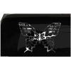Butterfly Sticker Butterfly cute Hibiscus S3 all chrome and regular vinyl colors