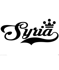 Syria Sticker... Vinyl Wall Art Quote Decor Words Decals Sticker
