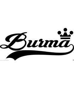Burma... Burma Vinyl Wall Art Quote Decor Words Decals Sticker