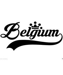 Belgium... Belgium Vinyl Wall Art Quote Decor Words Decals Sticker