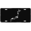 CustoMonsterDesigns Japan Map Heavy Duty Aluminum License Plate